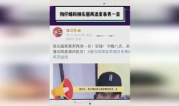 狗仔实锤爆料视频大全下载,揭秘娱乐圈幕后真相
